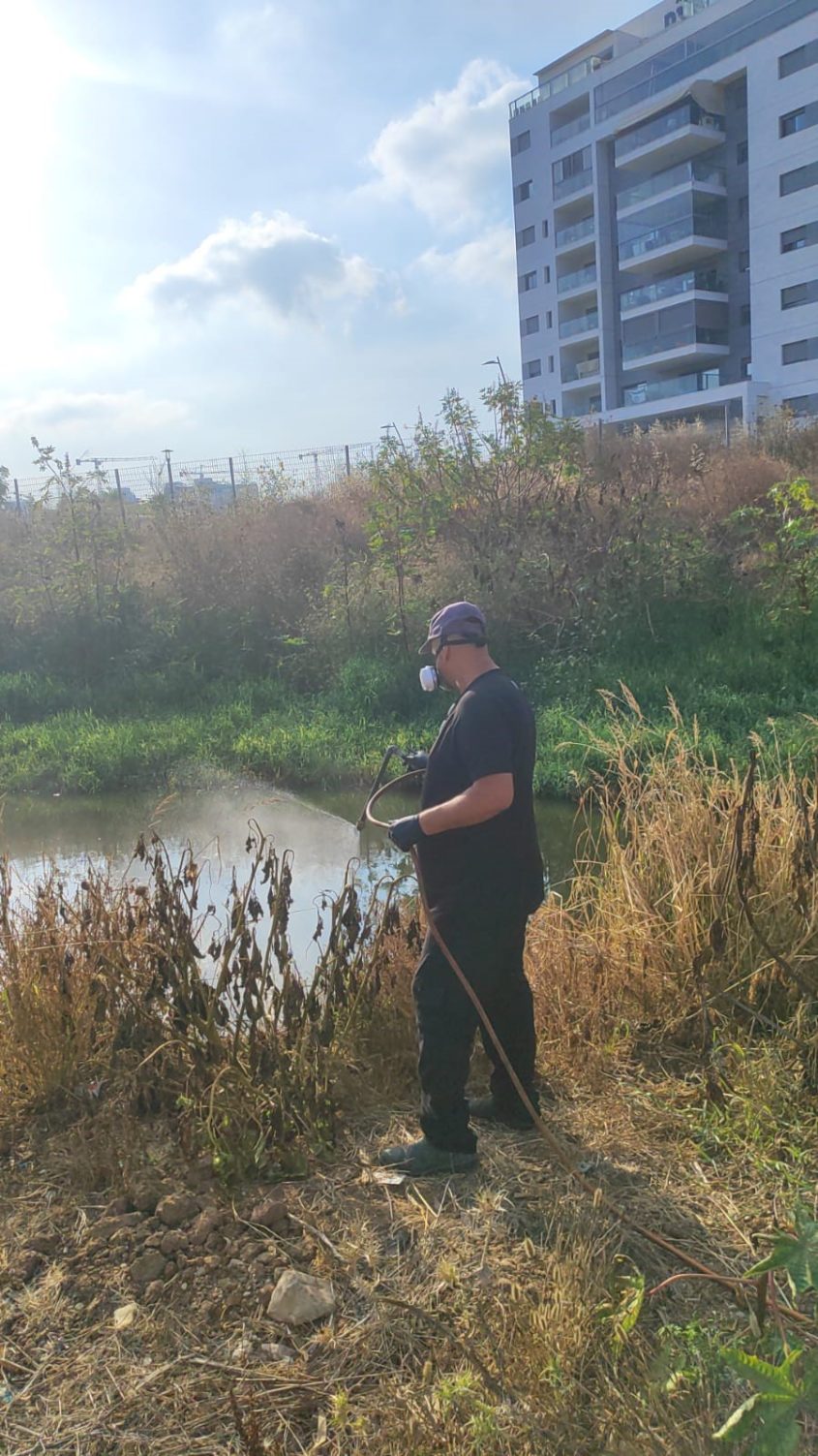 הדברת יתושים. צילום: דוברות עיריית אשקלון