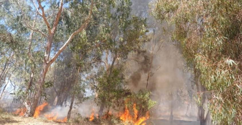 שריפה ליד עולי הגרדום. צילום: תיעוד מבצעי כב"ה