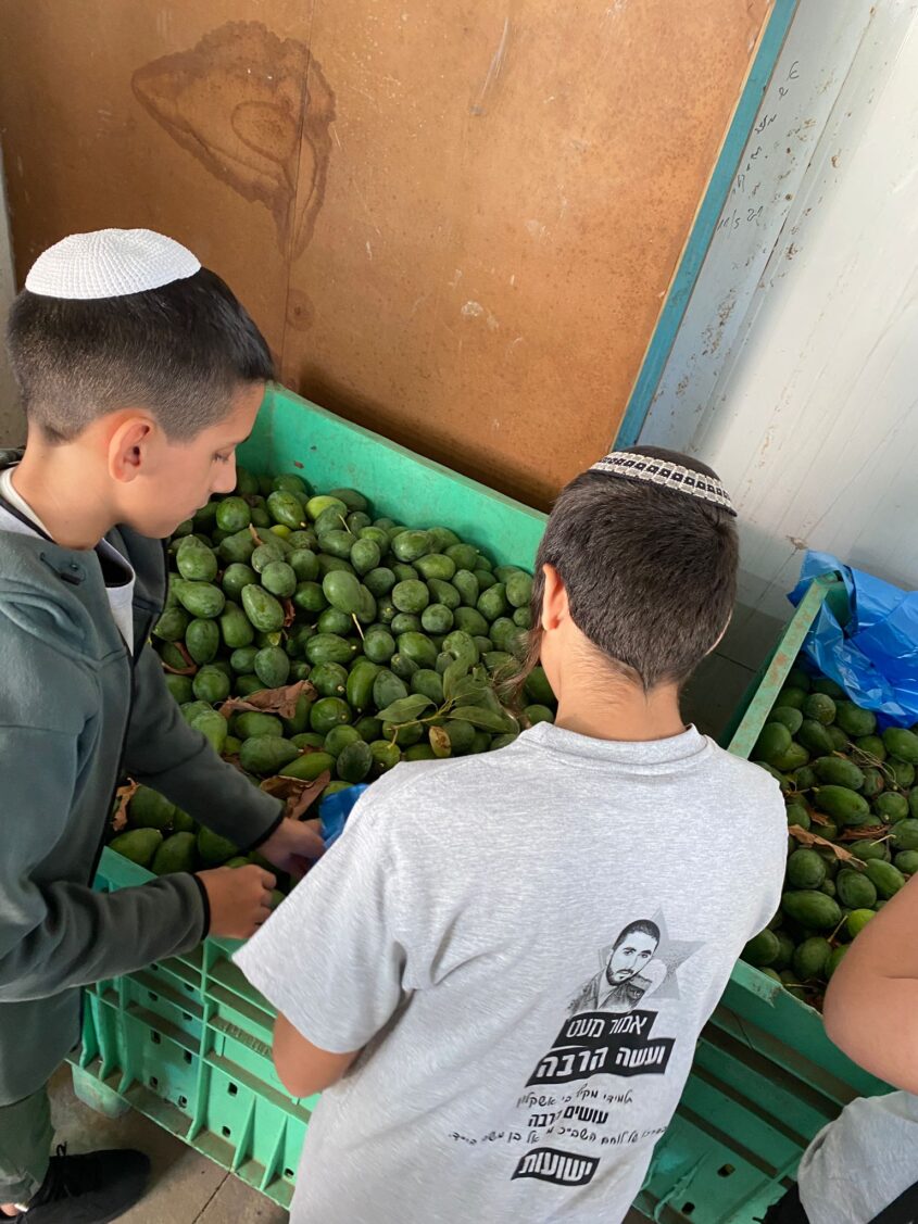 תלמידי מקיף ב' במסגרת למידה בשבוע הגבורה