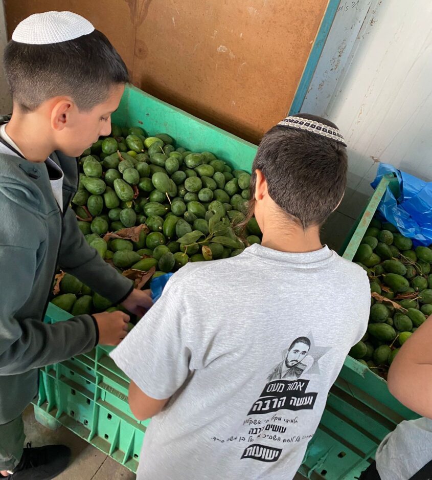 בית הספר מקיף ב' אשקלון. צילום: צוות מקיף ב'