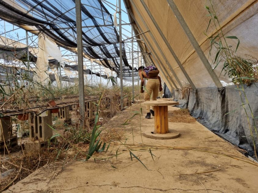 לאורה מלו, מסתתרת בחממה בבוקר טבח פסטיבל הנובה. צילום: לאורה מלו