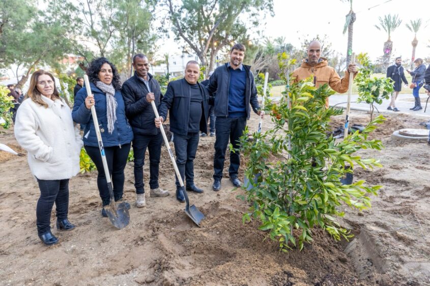 נטיעות בחורשת הנופלים באשקלון. צילום: סיון מטודי