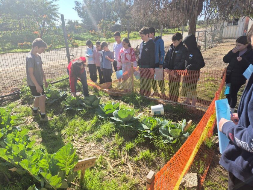 תלמידי 'אמירים', ביה"ס שדות יואב. צילום: בית ספר שדות יואב