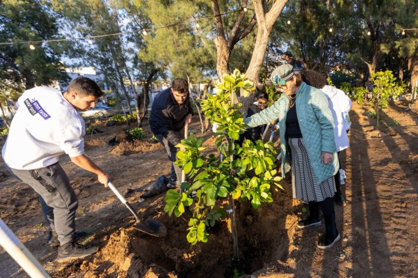 נטיעות בחורשת הנופלים באשקלון. צילום: סיון מטודי