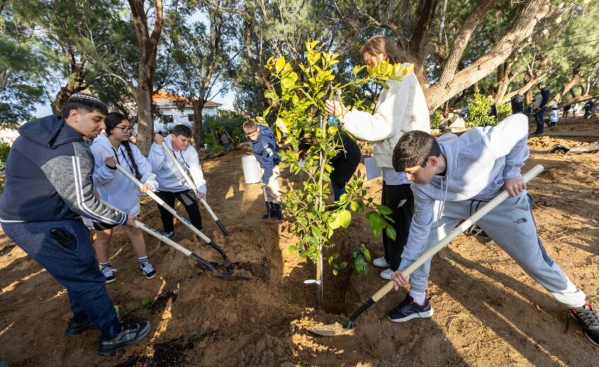 נטיעות בחורשת הנופלים באשקלון. צילום: סיון מטודי