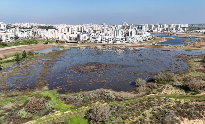 בריכת החורף. צילום: אקו פארק אשקלון